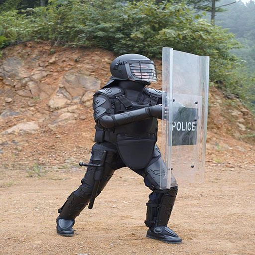Costume anti-émeute de la police d'application de la loi